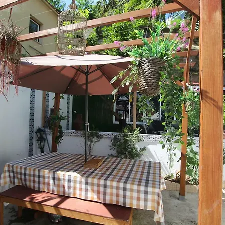 Terrace Garden Apartament *